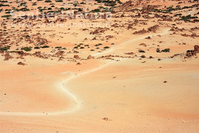 06-L'aspetto lunare del terreno dove si snoda la pista di accesso al Teide