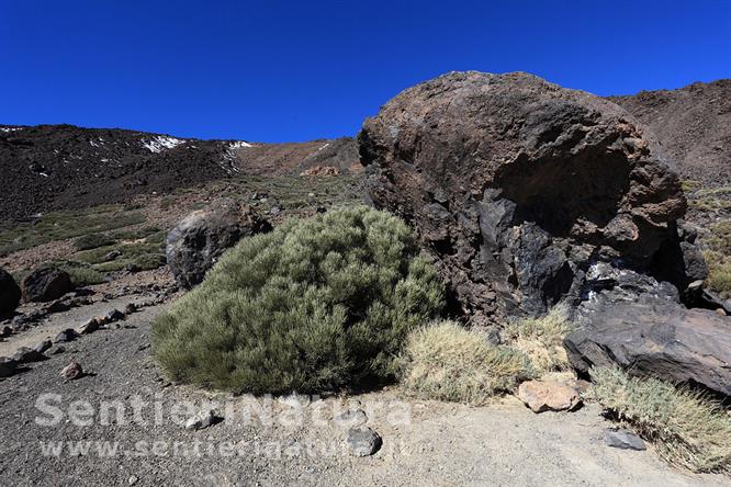 13-Paesaggio vulcanico alle pendici del Teide