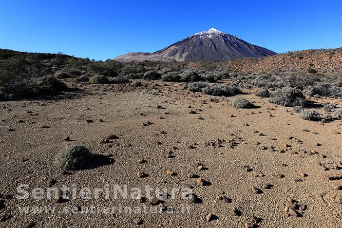 11-Il cono del Teide domina il paesaggio della caldera