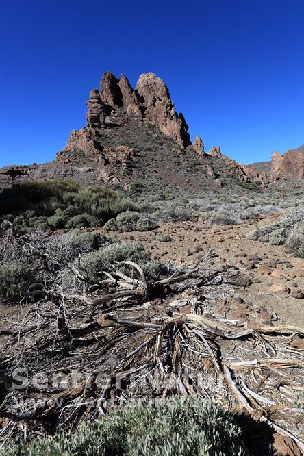 06-L'arido paesaggio sulla caldera del Teide