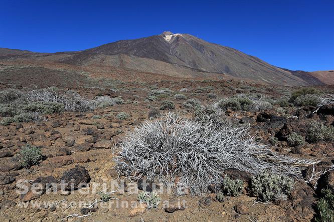 09-Il cono del Teide