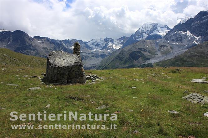 19-Le praterie d'alta quota dell'Alpe del Toro