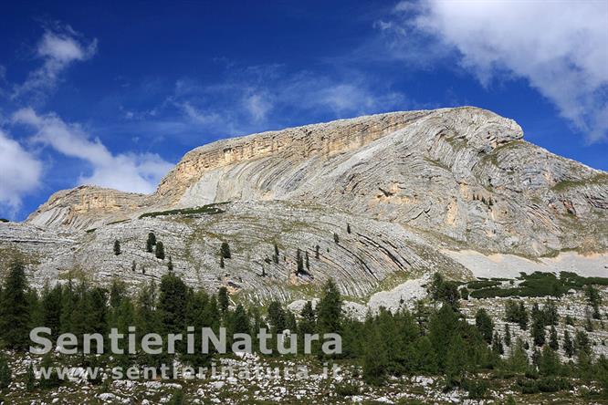 06-Le caratteristiche stratificazioni del Sass da Bech