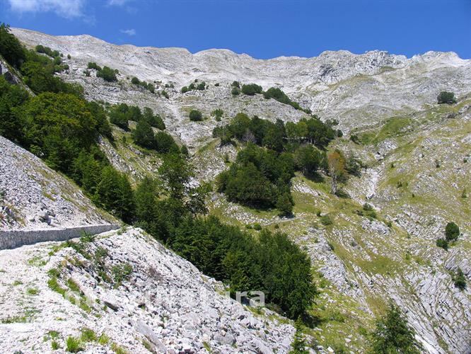 24-Lungo la via Vandelli sotto la cresta della Tambura