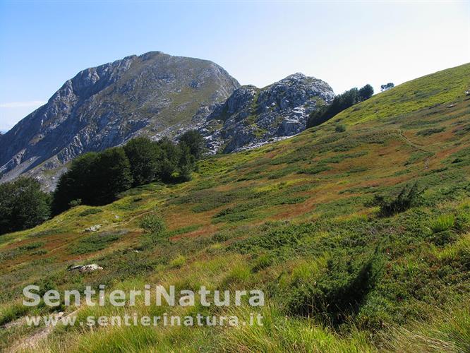 21-Le praterie in aspetto tardo estivo e Pania Secca