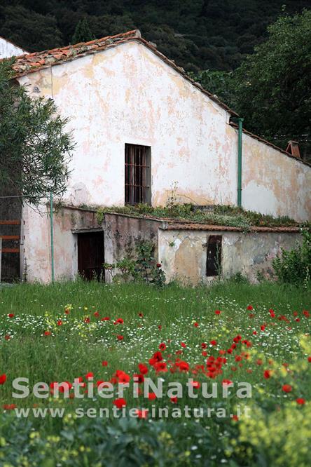 06-I casolari di Maciarello