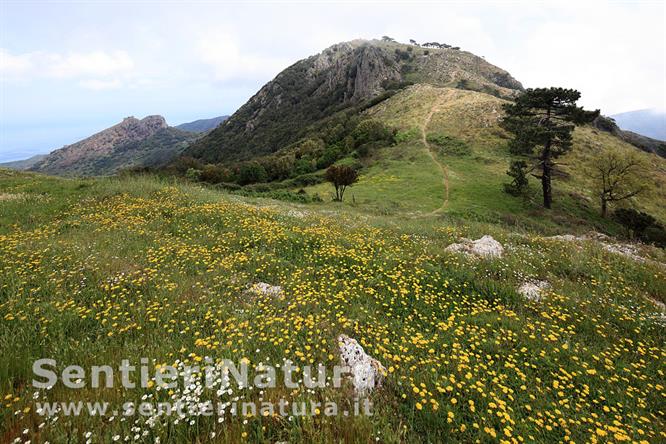 08-La linea di cresta della Cima del Monte