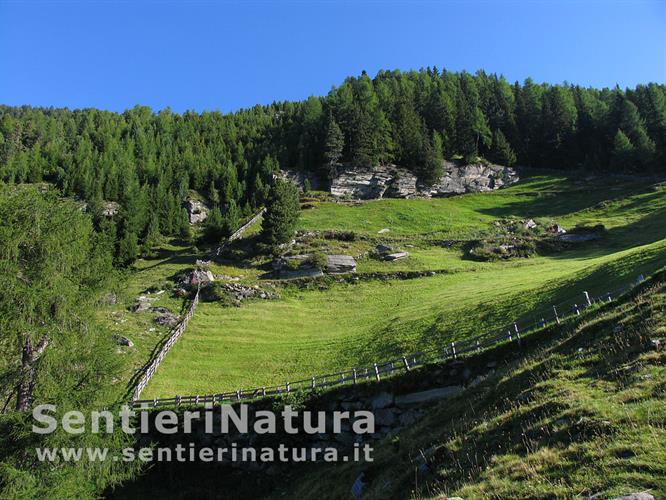 01-Prati recintati sopra Poia