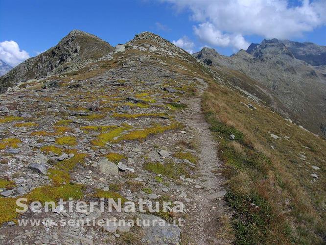 18-La comoda cresta erbosa dello Obersteiner Holm