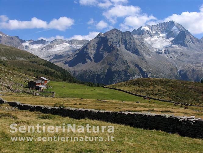 22-La Obere Kofleralm con HochGall nella luce pomeridiana