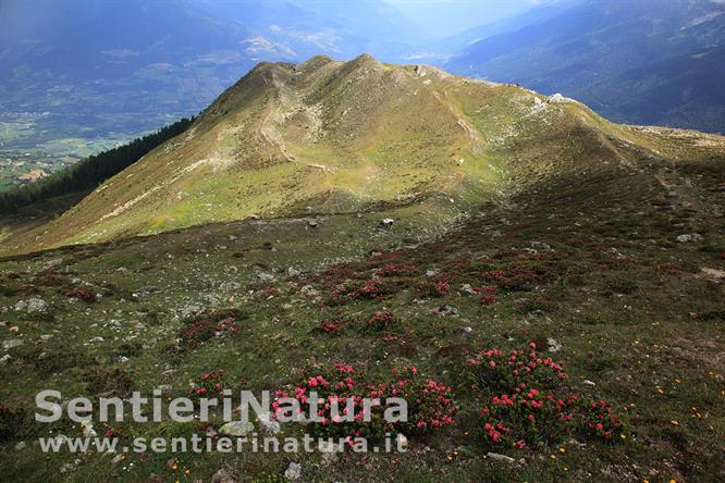 10-Le pendici orientali del Munwarter