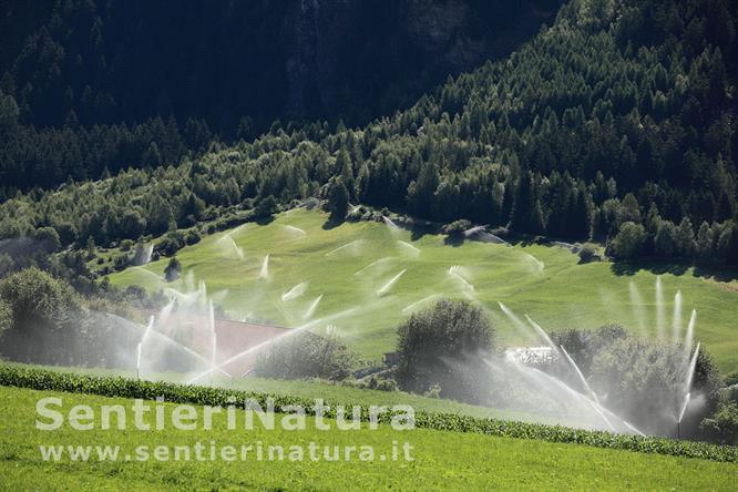 10-Impianti di irrigazione in val Monastero