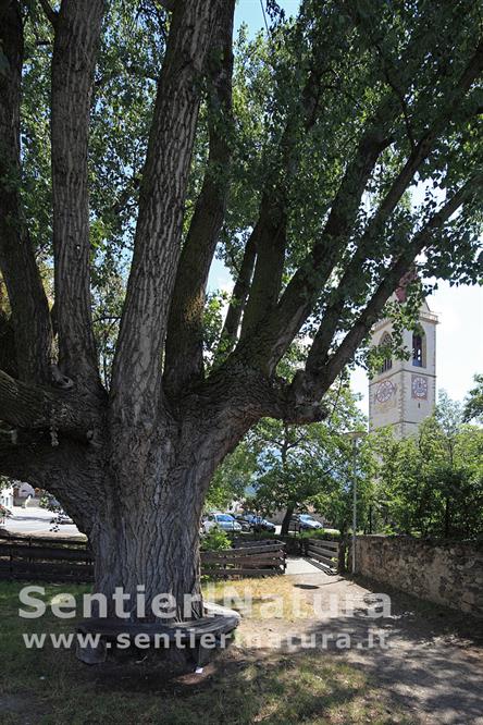 14-Scorcio del paese di Malles