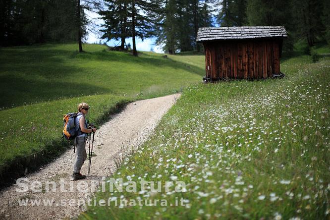 03-Sulla pista dei Pra de Rit