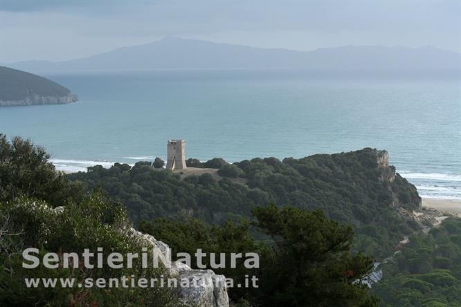 11-La Torre di Collelungo