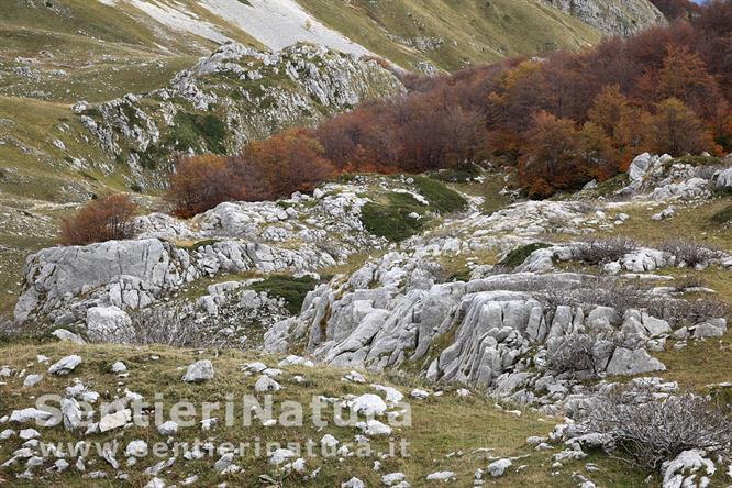 07-L'ambiente lungo la salita al passo dei Monaci