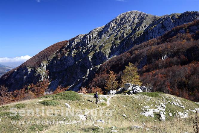 16-Il sentiero di discesa in val Risione