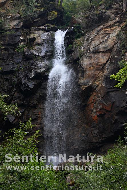 04-Cascata presso i larici millenari