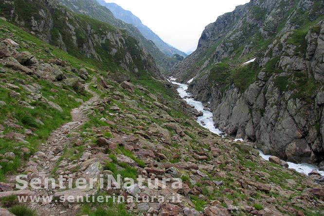 22-Il sentiero lungo il corso del Ferner Bach