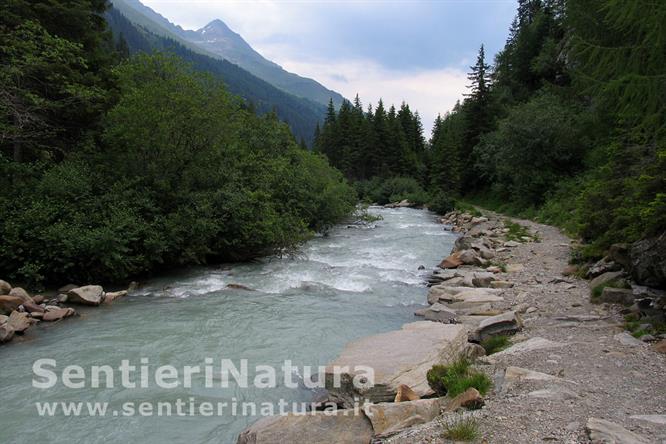 26Lungo il corso del del Ferner Bach poco prima delle miniere