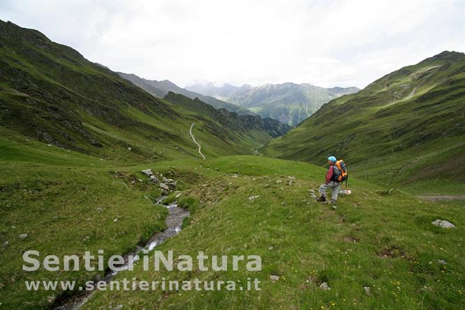 20-Pascoli alpini lungo il sentiero di discesa