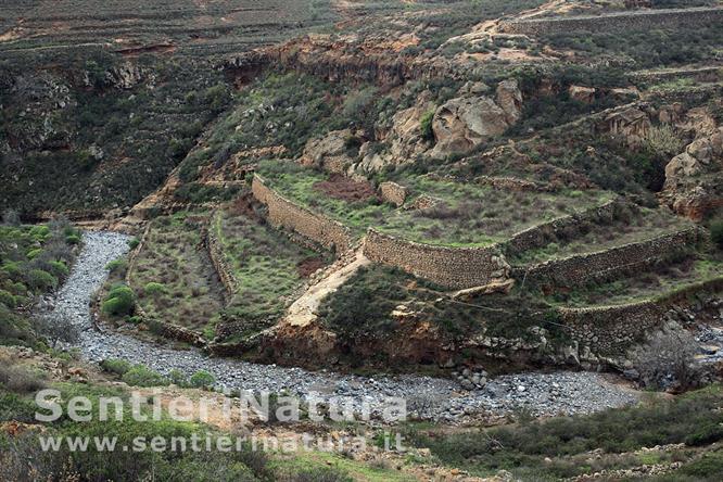 15-Terrazzamenti nel barranco del Rey