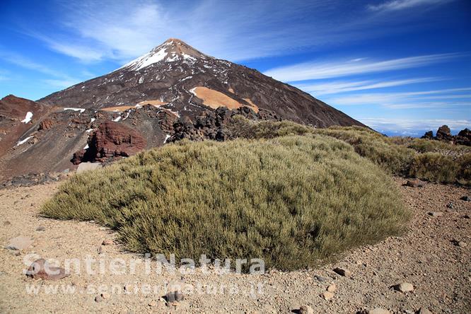13-Il Teide dal ripiano del Pico Sur