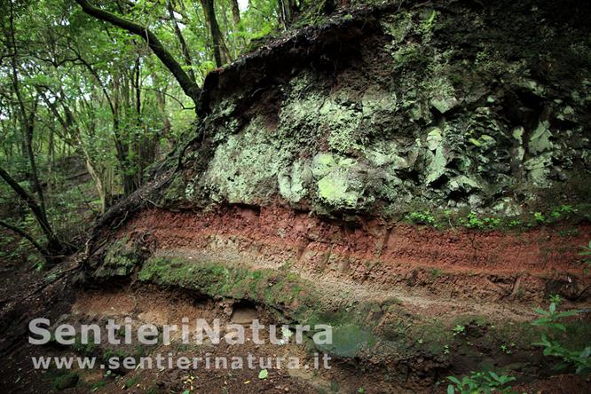 03-Affioramenti colorati tra la vegetazione