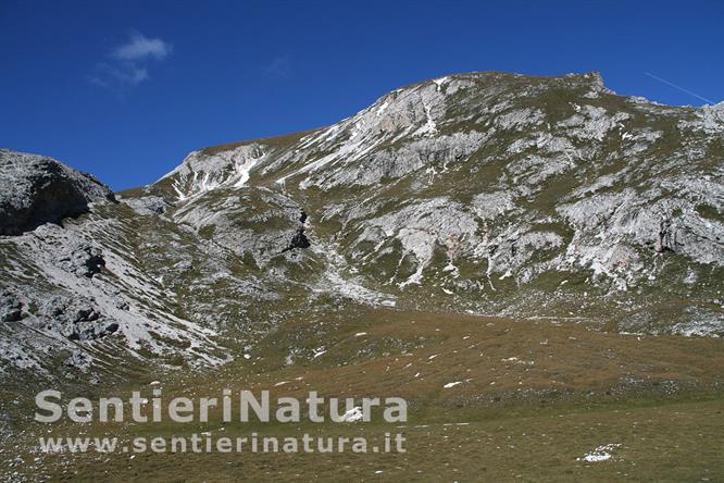 05-Praterie sul versante di Sennes