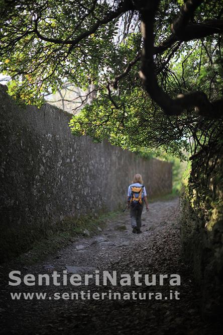 08-Il viottolo che da' accesso alla passeggiata