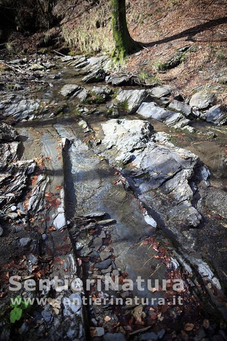 15-Rocce levigate sul fondo del torrente Ventarola