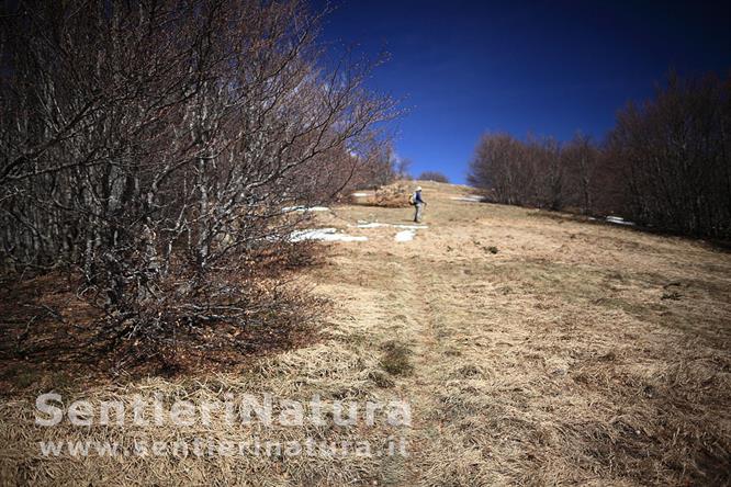 09-Il corridoio erboso che conduce in vetta al monte Roncalla