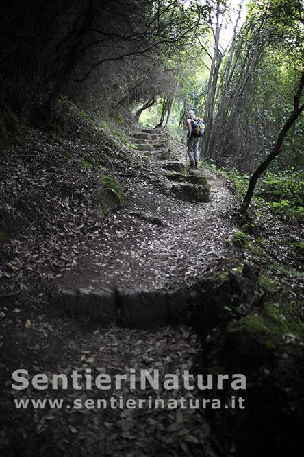 04-Tratto gradinato lungo il sentiero per il monte di Portofino