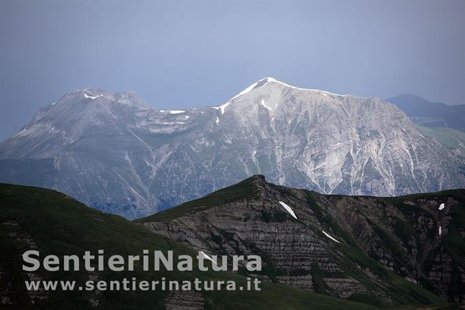07-Il monte Vettore dalla cresta sommitale di Cima Lepri