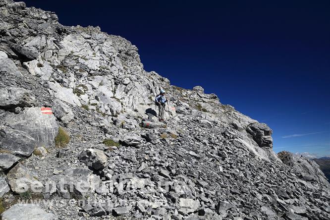 06-Le pietraie sotto la vetta del Polinik