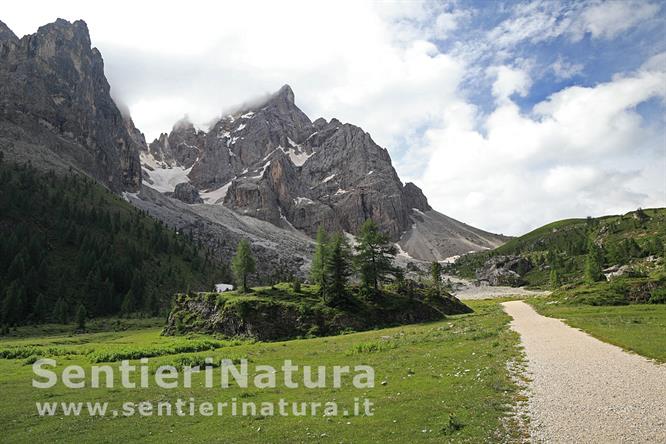 02-Il Cimon della Pala dalla pista