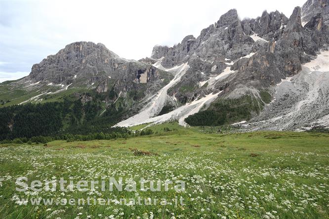 06-Il monte Mulaz dalla Costazza