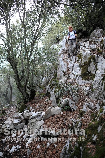 08-Lungo il sentiero di cresta per la cima del monte Bardia