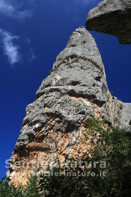 14-Il verticale torrione della Punta Goloritzè (Aguglia)
