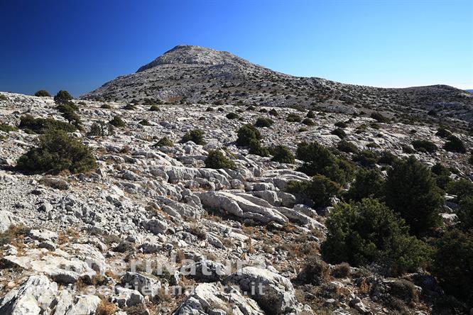 03-Le pendici calcaree di Punta Sos Nidos