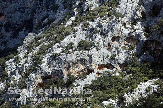 18-Cavità nelle pareti rocciose che racchiudono la valle Lanaittu