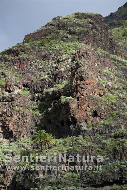 03-Ripidi fianchi rocciosi chiudono il barranco di Guarimiar