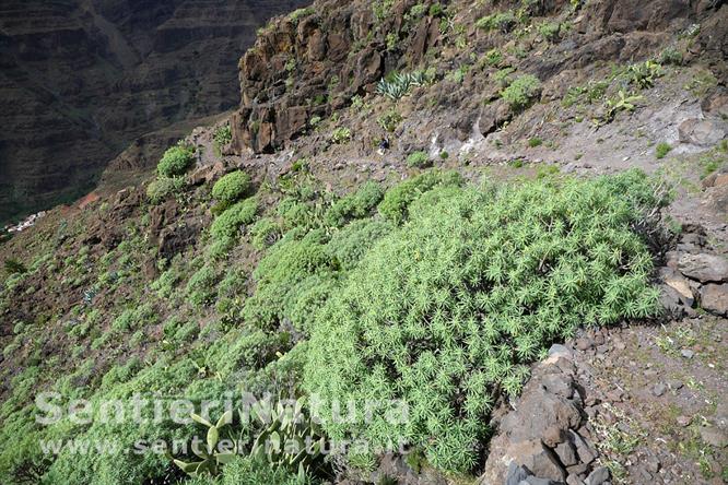 17-In discesa verso Valle Gran Rey 