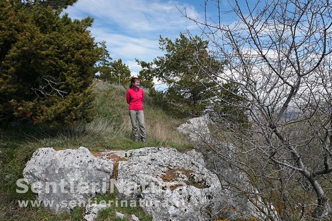 08-La cima di Castelmonte