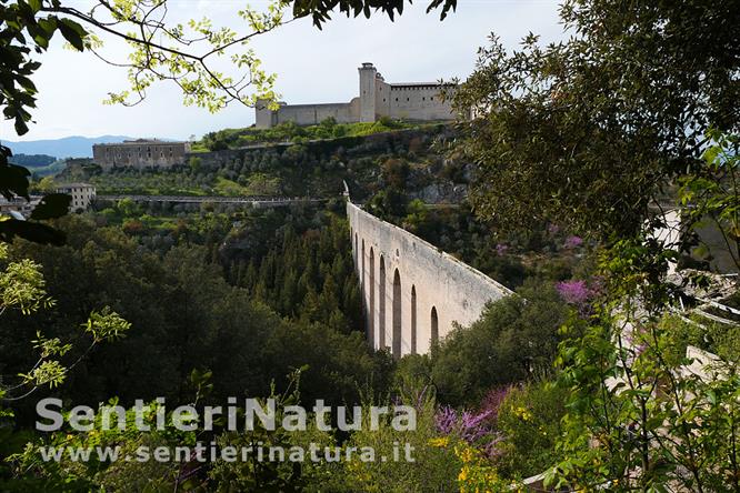 14-Il Ponte delle Torri e la Rocca albornoziana di Spoleto