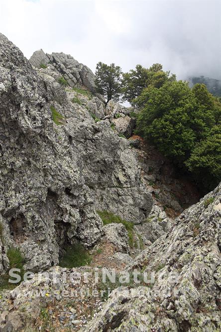 08-Sulle rocce di cresta del monte San Petrone