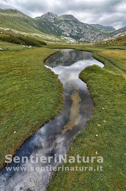 10-Il rio che solca la valle dei Pozzi