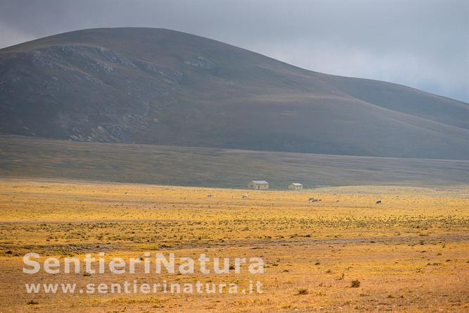 02-Stazzi nell'autunno di Campo Imperatore