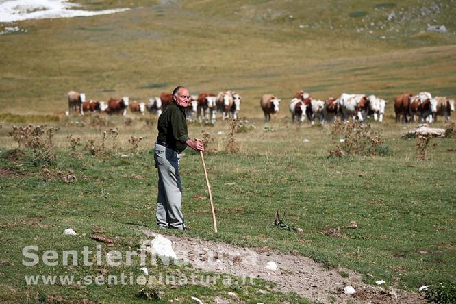 05-Pastore a Campo Imperatore