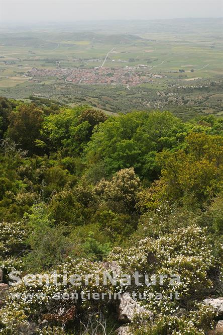 02-Panorama dall'altopiano della Giara 